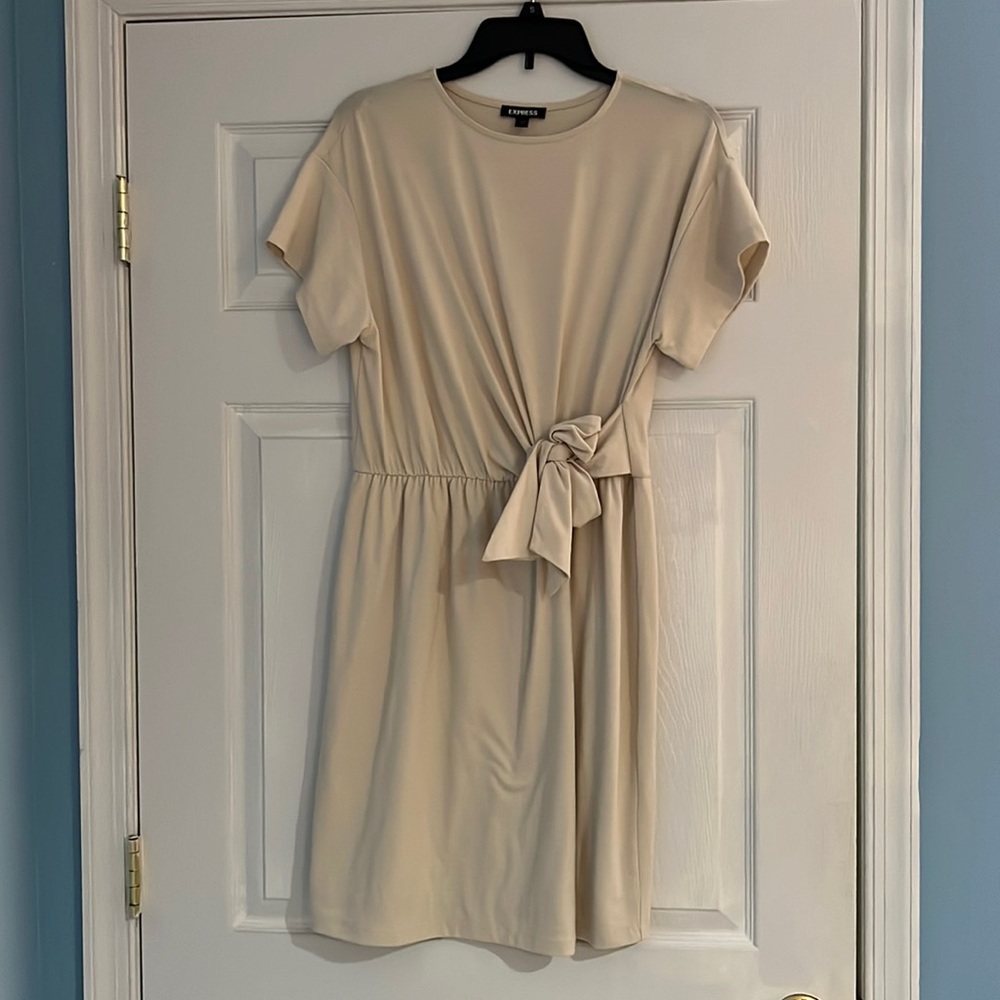 Express Beige Dress